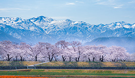 富山県のレンタカーのご紹介