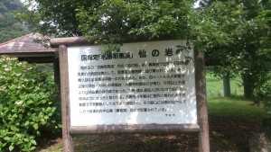 1439476965151