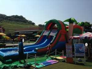 写真 2 (6)