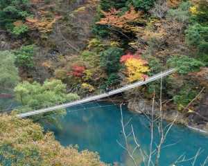 20131024sumata_kouyo01