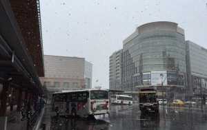 IMG_0099cc