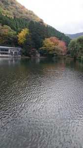 IMG_20151107_193045