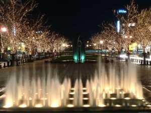1385788908_photo