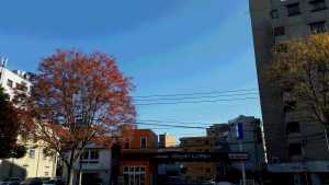 20151213_123101