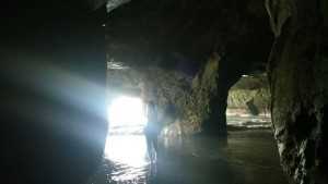 image5 (1)