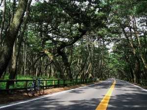 1024px-Niji_no_Matsubara