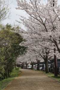 nanase09