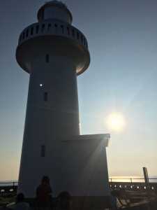 image5 (1)