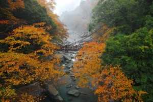 祖谷のかずら橋