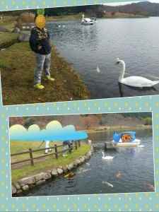 collage-1479643069798