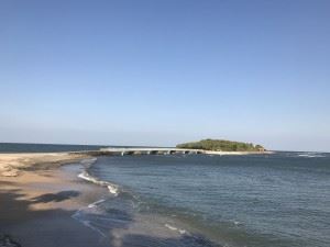 IMG_4813[1]