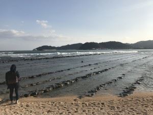 IMG_4814[1]