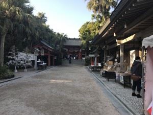IMG_4818[1]