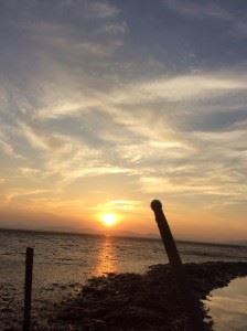 干潟の夕日