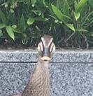 IMG_0537