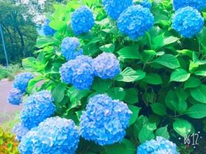 今①