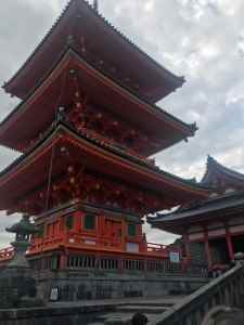image1 (9)
