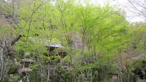 花の寺2