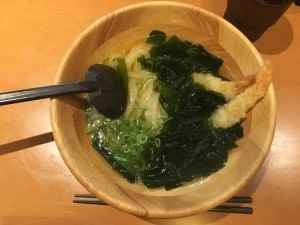 大地のうどん