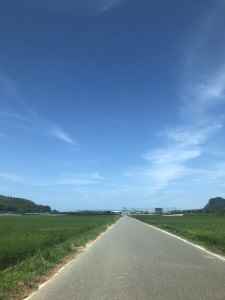 糸島の大草原