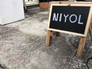 NIYOL 外見