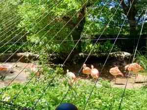 のいち動物園②