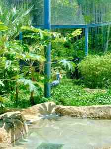 のいち動物園④