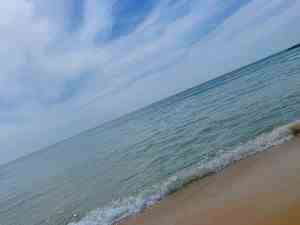 EAE08610-08D0-448C-A096-54314A94D94A