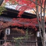 紅葉2