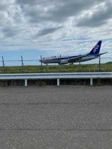 image1 (1)