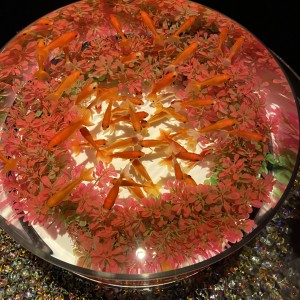 unnamed (1)