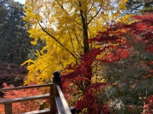 書写山⑥