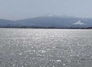 IMG_E0815