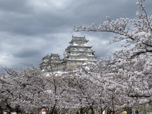姫路城春