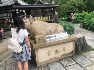 三室戸寺６