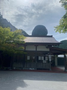 南蔵院１