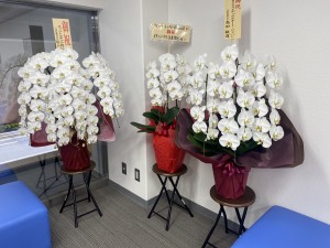 image_50425601