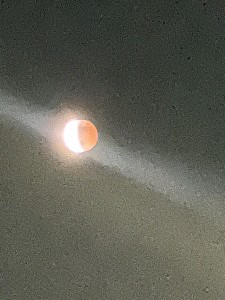 image0 (8)