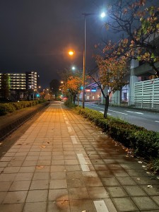 いきかた２