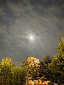 IMG_1874 (2)