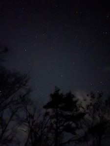 image1 (12)