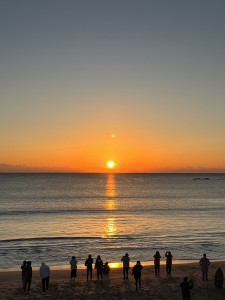 image0 (16)