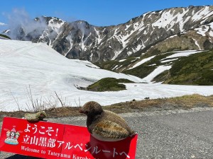 IMG_20230610_165817