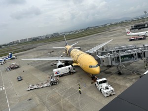 IMG_8165