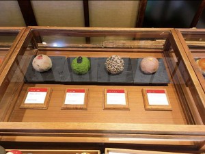 image1 (13)