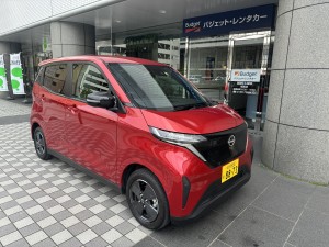 サクラ右前