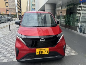 サクラ正面