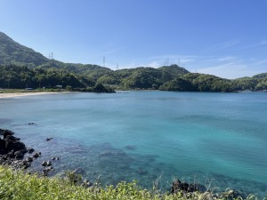 IMG_0343