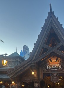 IMG_3590