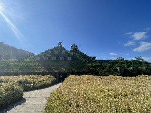 IMG_1140